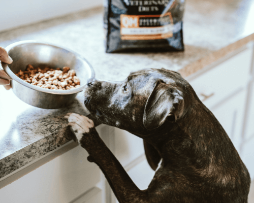 switching dog food without mixing