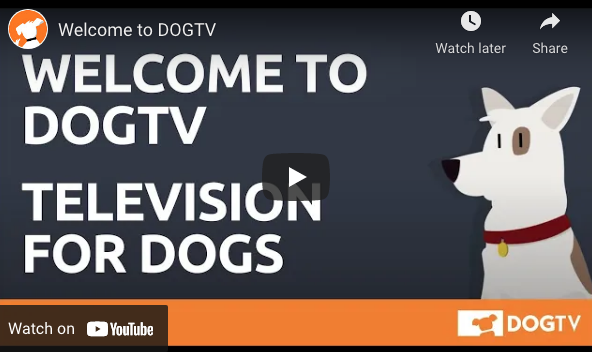 DogTV free trial