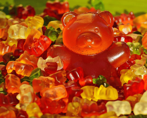 can dogs have haribo gummy bears