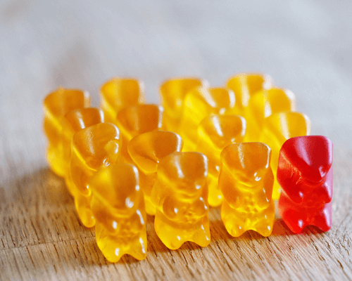 what to do if my dog ate gummy bears