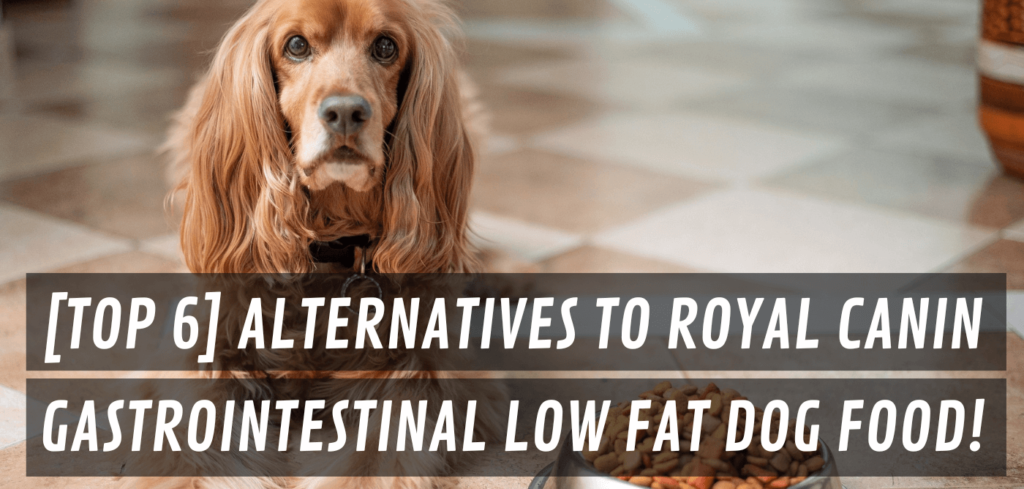 alternative to royal canin gastrointestinal low fat dog food