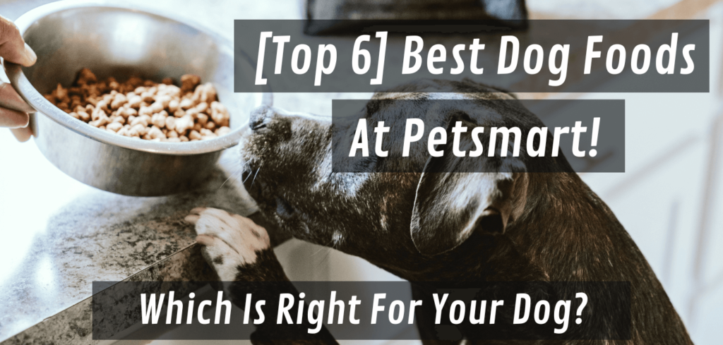 best dog food at petsmart