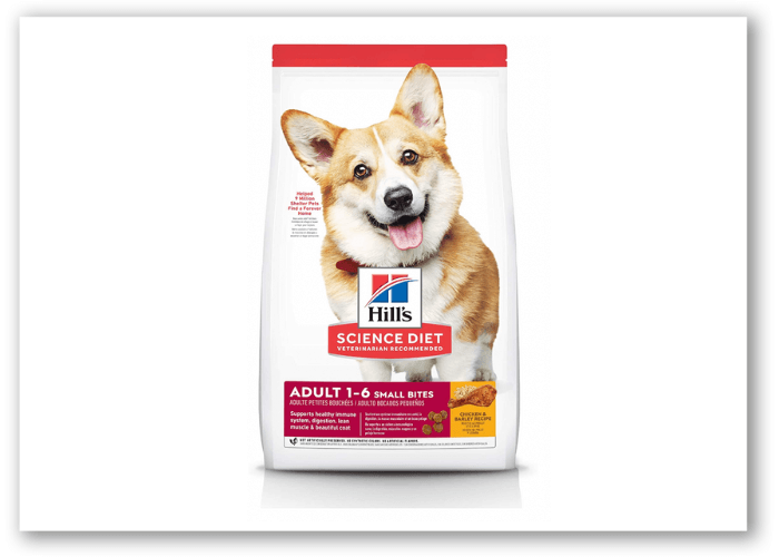 best dry dog food at petsmart