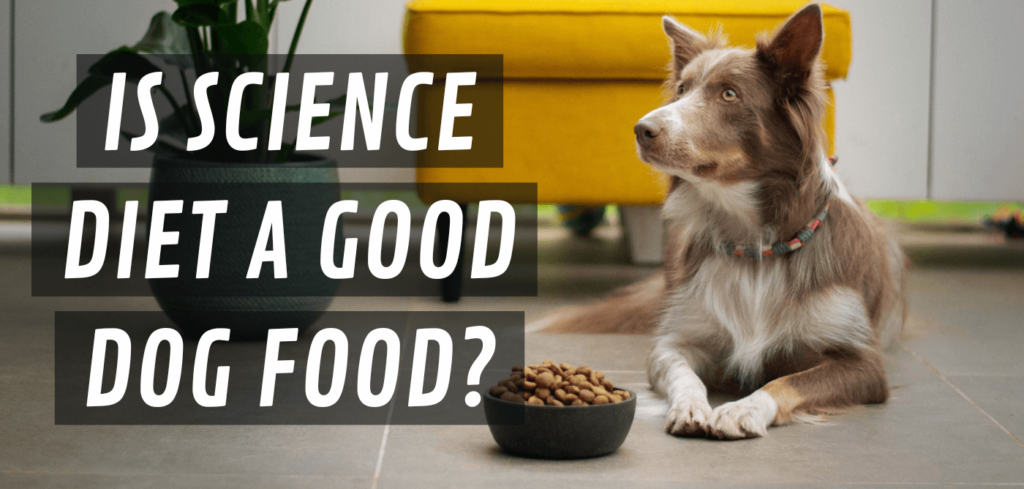 is science diet a good dog food