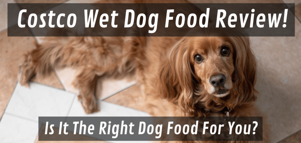 costco wet dog food