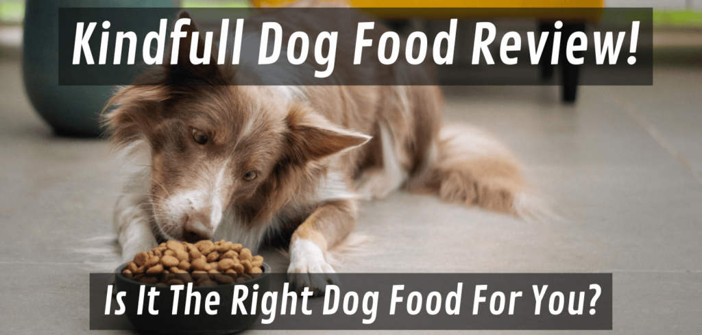 kindfull dog food