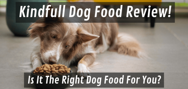 Kindfull Dog Food [is It The Right Choice For You?] - Fun With Pups