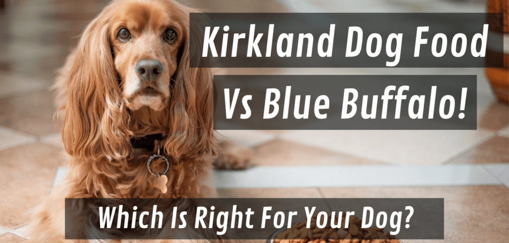 kirkland dog food vs blue buffalo