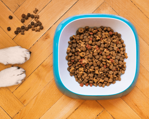why do vets recommend science diet
