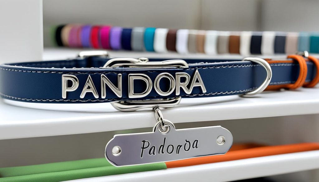 personalized dog collar on Etsy